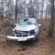 В Курской области машина врезалась в дерево, ранен водитель