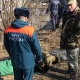 В Курской области из колодца плотины спасли двух застрявших бобров