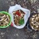 В черте Курска грибники собирают сморчки ведрами