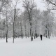 Самым холодным днем в Курске стало 20 января