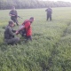 Украинец незаконно перешел курский участок границы