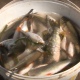 В Курске на пляже «Здоровье» из-за жары «сварилась» рыба