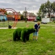 В Щиграх Курской области установили трех топиарных медведей