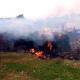 В Курской области из-за искр от резки металла сгорели 4 сарая и тюки с сеном