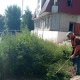 В Курске идет мониторинг санитарного состояния улиц и дворов