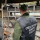 В сгоревшем доме под Курском найдены два трупа