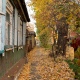 6 ноября в Курской области ожидаются дождь, туман и до +13ºС