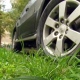 В Курске администрация разыскивает автовладельцев припаркованных на газонах машин