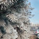 В Курской области 19 ноября ожидаются дождь, снег и гололед