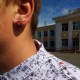 В Курской области отказались возбуждать дело о порванном ухе школьника