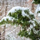 В Курской области 4 декабря ожидаются мокрый снег и гололедица