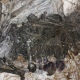 Под Курском водолазы исследуют Сейм, где рыбак выловил мешок с останками двух человек