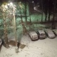 В Курске начался снегопад