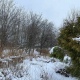 В Курской области 1 февраля ожидаются снег, метели и от +1 до -6 градусов