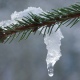В Курске 6 февраля ожидаются снег, метели и до 2 градусов тепла