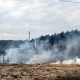 В Курской области за сутки пожарные 64 раза выезжали тушить горящую траву
