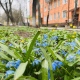 В Курской области 18 апреля ожидаются дожди и до +12 градусов