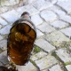 Пьяный грабитель с разбитой бутылкой напал на торговый павильон в Курске
