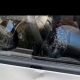 В Курске брошенной с высоты кружкой с чаем поврежден автомобиль