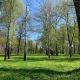 В Курской области 6 мая ожидаются заморозки до минус 2 градусов