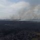 В Курске бушует пожар на 8 гектарах