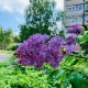 В Курской области 20 мая потеплеет до +20 градусов