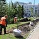 В Первомайском парке в Курске высадили 12 каштанов и 3 липы