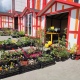 В Курске открылась ярмарка для садоводов