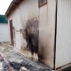 В Курской области из-за мусора загорелся магазин