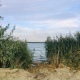 В Курской области 19 июня на водохранилище у Дични утонул 16-летний парень