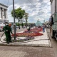В Курске на улице Ленина оперативно заменили засохшие на клумбе петунии