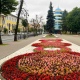 В Курске из-за жаркой погоды усиленно поливают цветы на клумбах