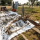 В Курской области поисковики обнаружили сбитый советский бомбардировщик