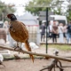 Губернатор Курской области проинспектировал в Курчатове обновленный Парк птиц