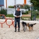 Губернатор Роман Старовойт протестировал открывшуюся в Курчатове площадку для выгула собак