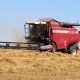 В Курской области уже намолочено более 3 миллионов тонн зерна