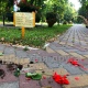 В Курске из Детского парка на площади Перекальского украли цветов на 45 тысяч рублей