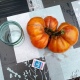 Жительница Курской области вырастила гигантский помидор весом 1,4 килограмма