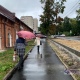 В Курской области 19 сентября ожидаются дожди, сильный ветер и до +16 градусов