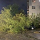 В Курске во время урагана упавшие деревья повредили 21 автомобиль