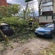 В Курске спасатели до сих пор вытаскивают автомобили из-под упавших деревьев