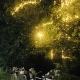 В Курске на Новой Боевке воры разобрали прожекторы на аллеях и оставили парк без света