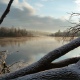 В Курской области 15 ноября ожидается до 6 градусов мороза