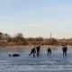В Курской области на водоемах утонули четыре человека