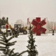 На Красной площади Курска появится «Красный лес»