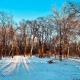 В Курской области 14 января ожидается потепление до нуля