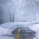 В Курской области 15 января ожидаются снег и от 0 до 7 градусов мороза