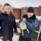 Зайца и лебедя из частного зоопарка в Журавлино по решению суда передали в Воронежский зоопарк