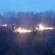 В январе в Курской области 15 раз горела сухая трава