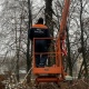 Снесенные в Курске аварийные деревья будут направлять для военных в зоне СВО